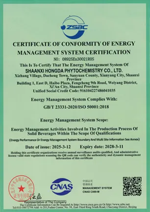 ISO 50001.ade38be